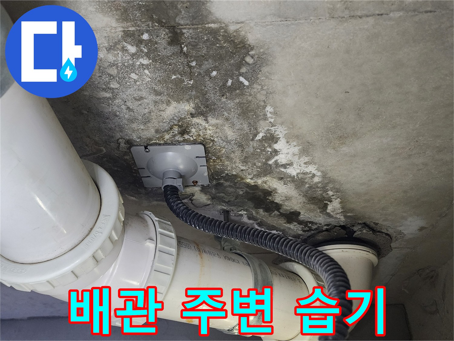 천장-배관-주위의-젖은-자국과-오염된-벽면