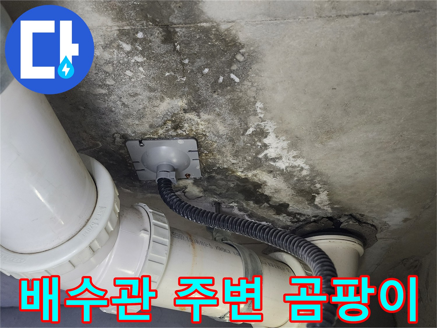 화장실-천장-배수-배관-주변의-누수-및-오염-상태
