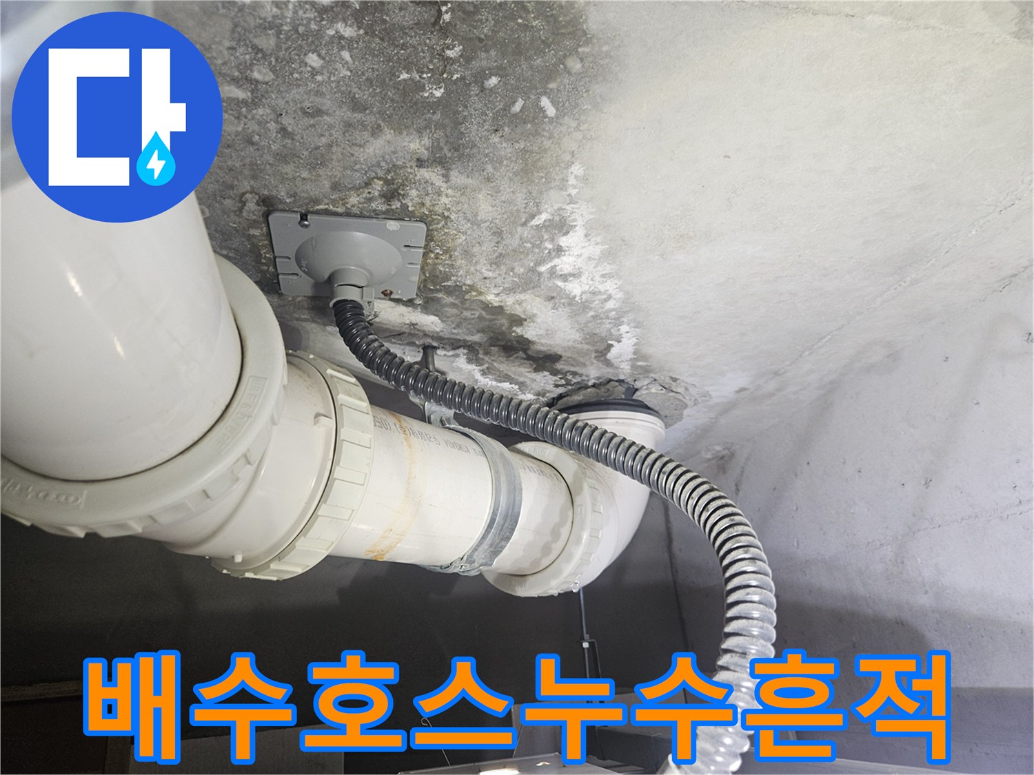 화장실-천장-배수-호스-연결-부위-오염-사진