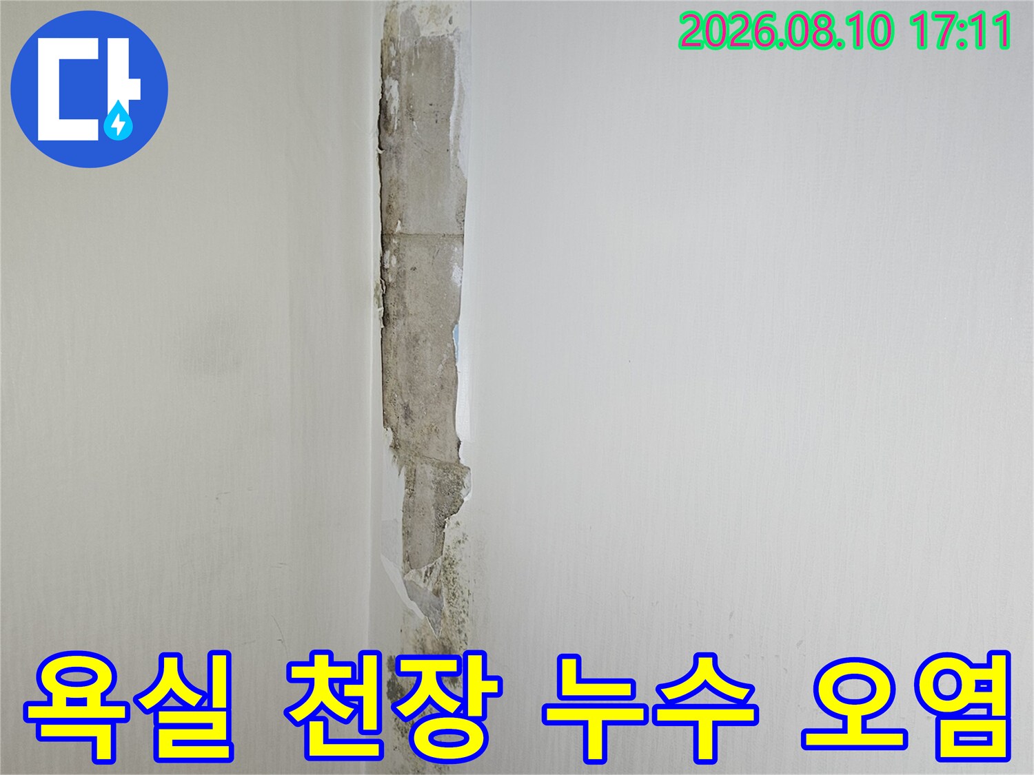 누수로 인해 곰팡이가 번지고 변색된 화장실 천장 부근 사진