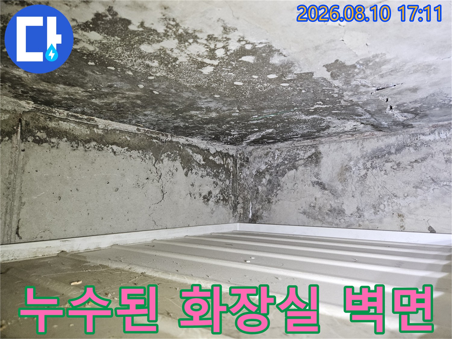 물자국과 곰팡이가 뒤섞여 오염된 화장실 천장 내부 벽체