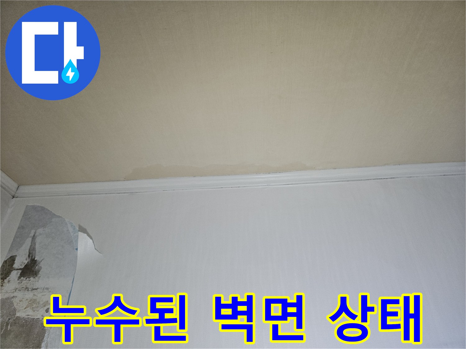 벽지 층이 갈라지고 습기가 머금어진 벽면의 모습