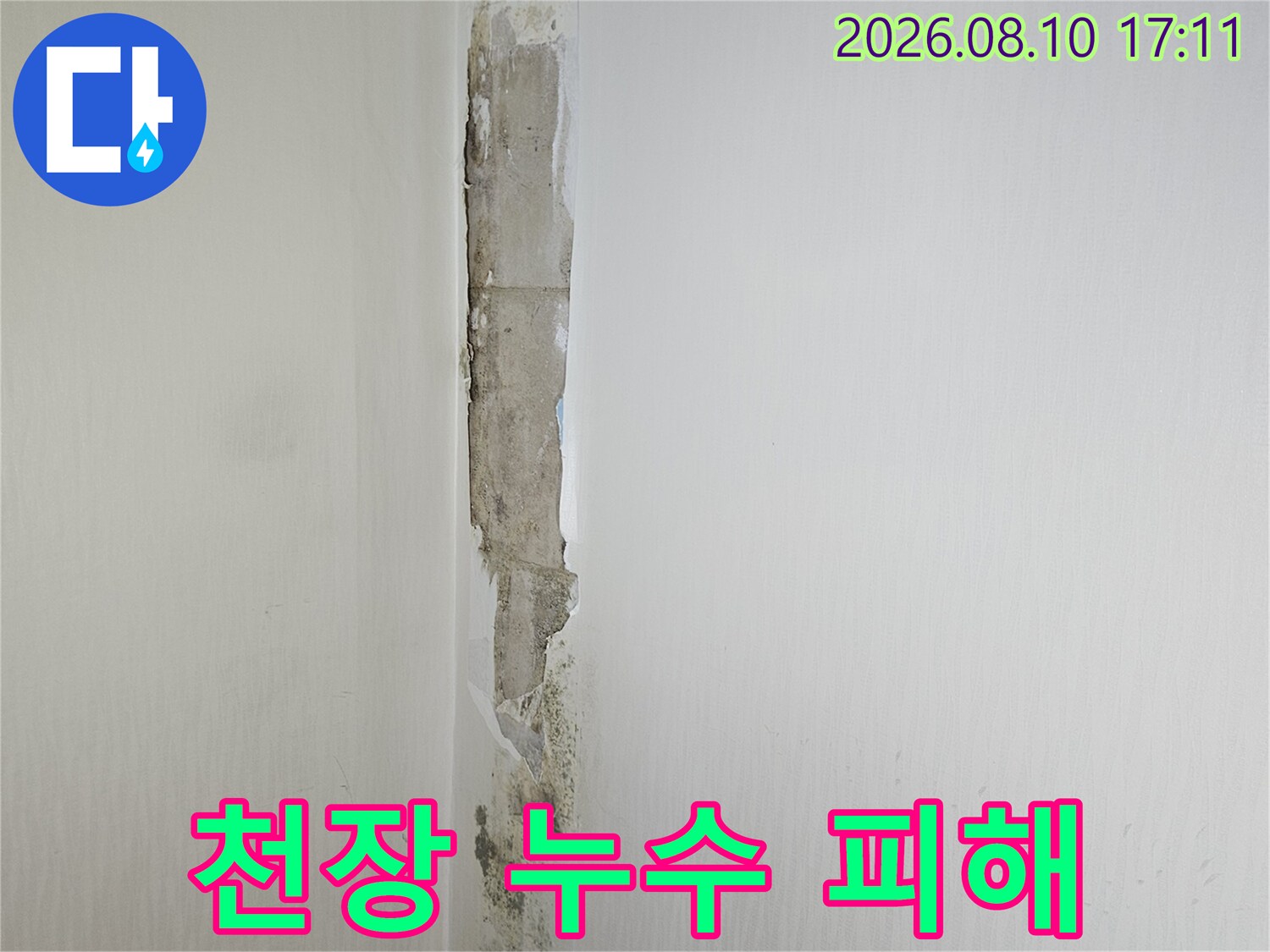 천장과 벽 경계에 발생한 곰팡이와 누수 자국