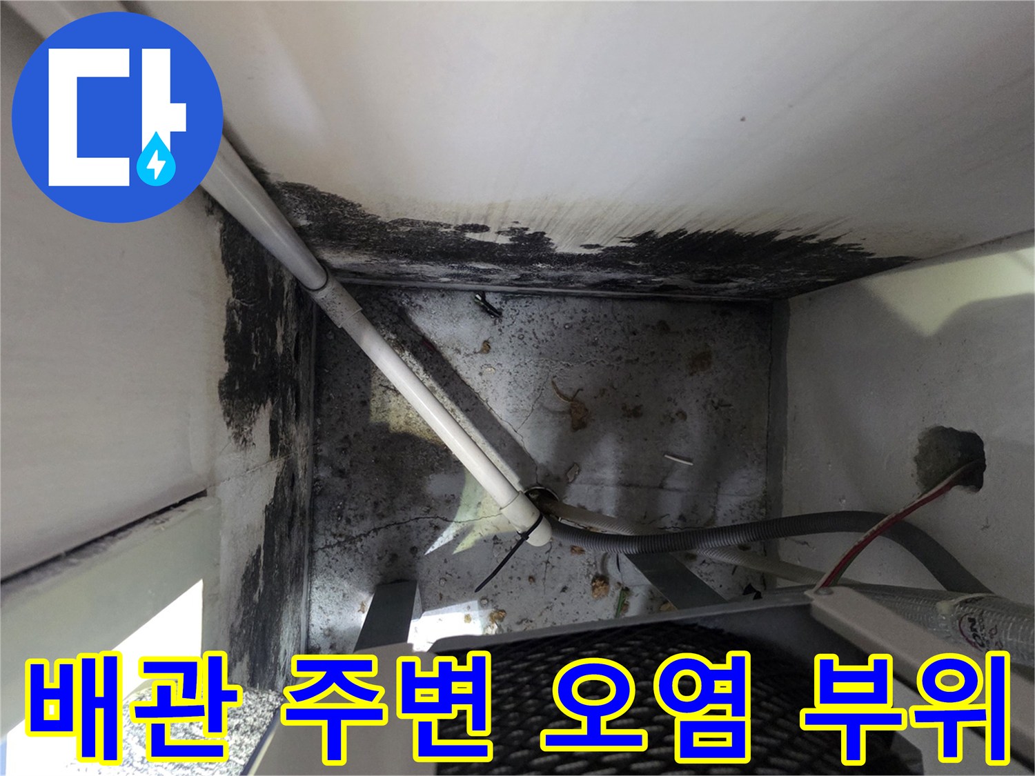 보일러실 배관 연결부 근처의 곰팡이와 벽면 변색