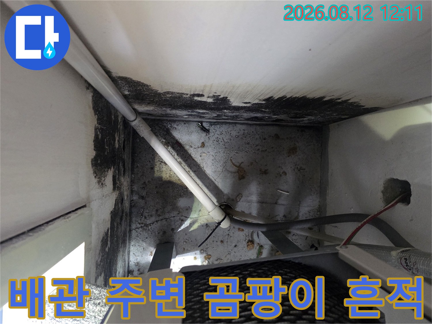 보일러실 벽면 - 곰팡이가 번진 배관 및 벽체 경계부