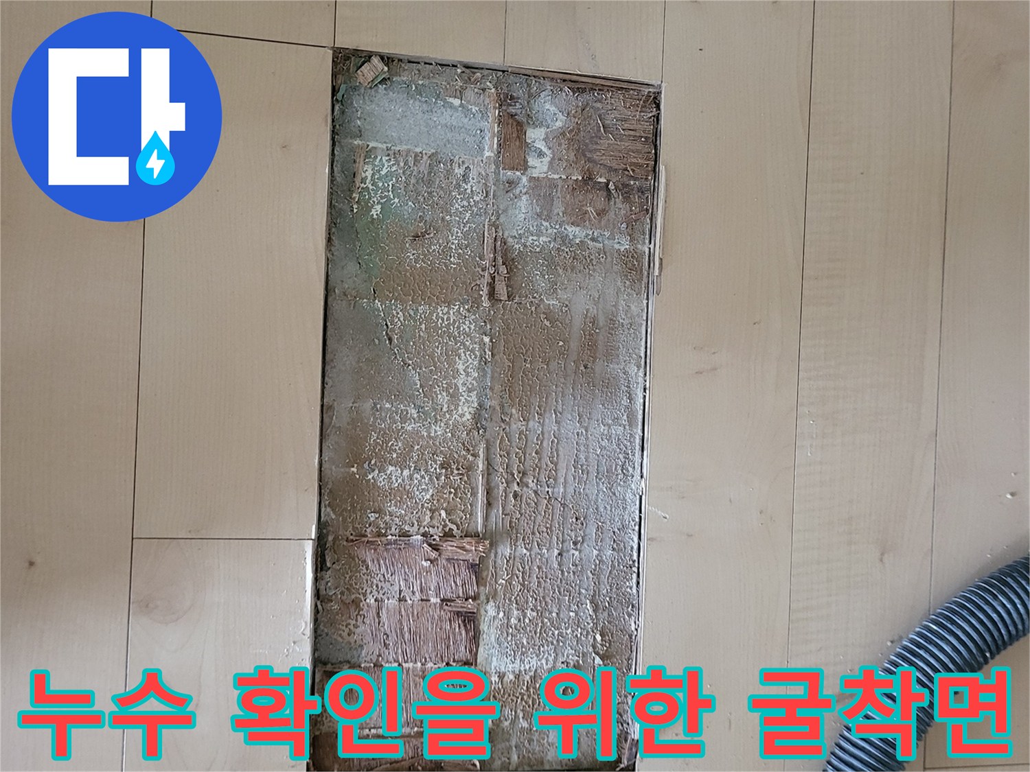 기흥구 아파트 거실 누수 지점의 배관 노출 및 굴착 상태 사진
