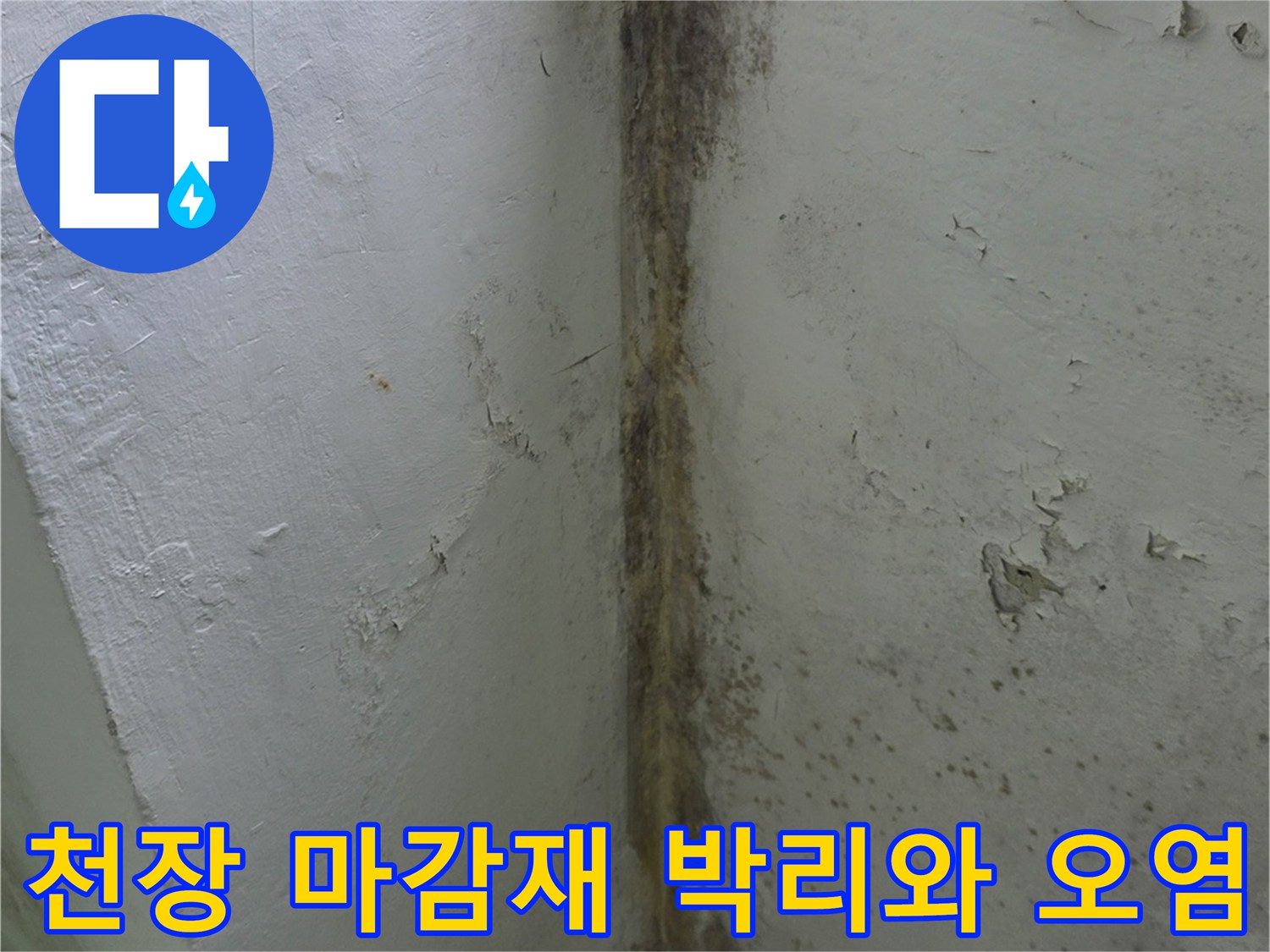 베란다-내부-천장의-페인트-박리현상과-어두운-색상의-누수-얼룩