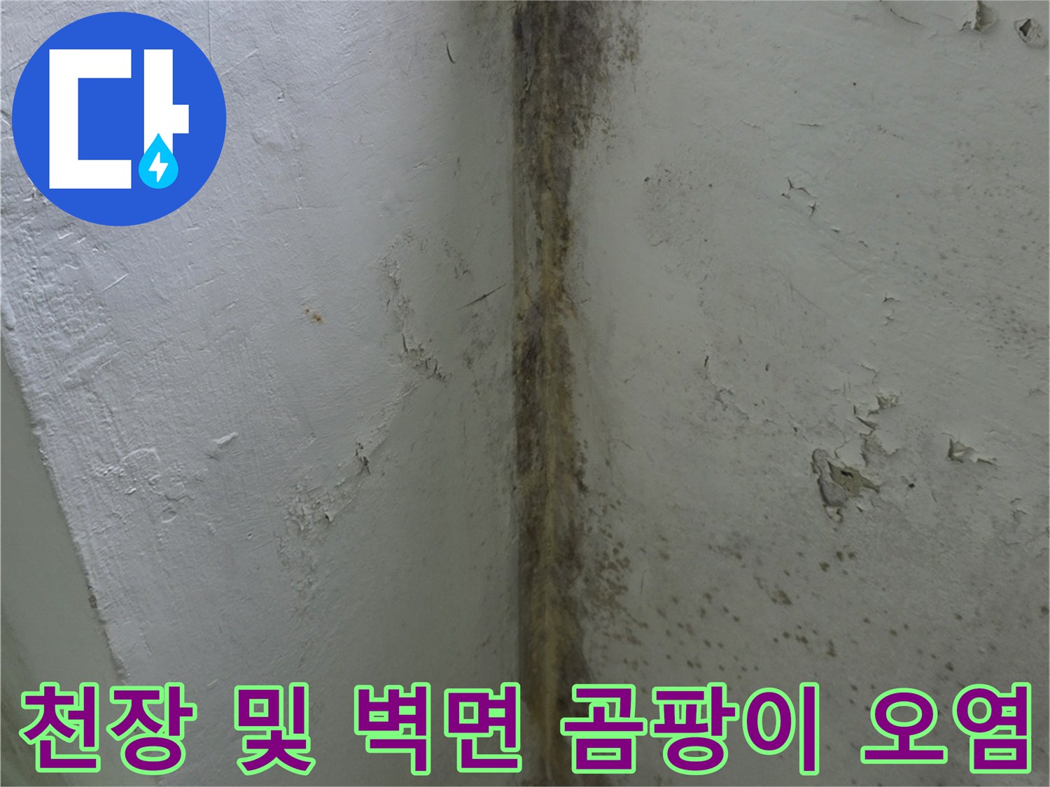 습기로-인해-곰팡이가-심하게-발생한-아파트-베란다-천장-구역