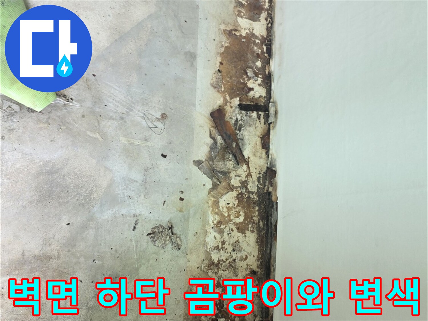 아파트-내부-벽면-하단부에-갈색-물자국과-검은-곰팡이가-퍼져있는-모습
