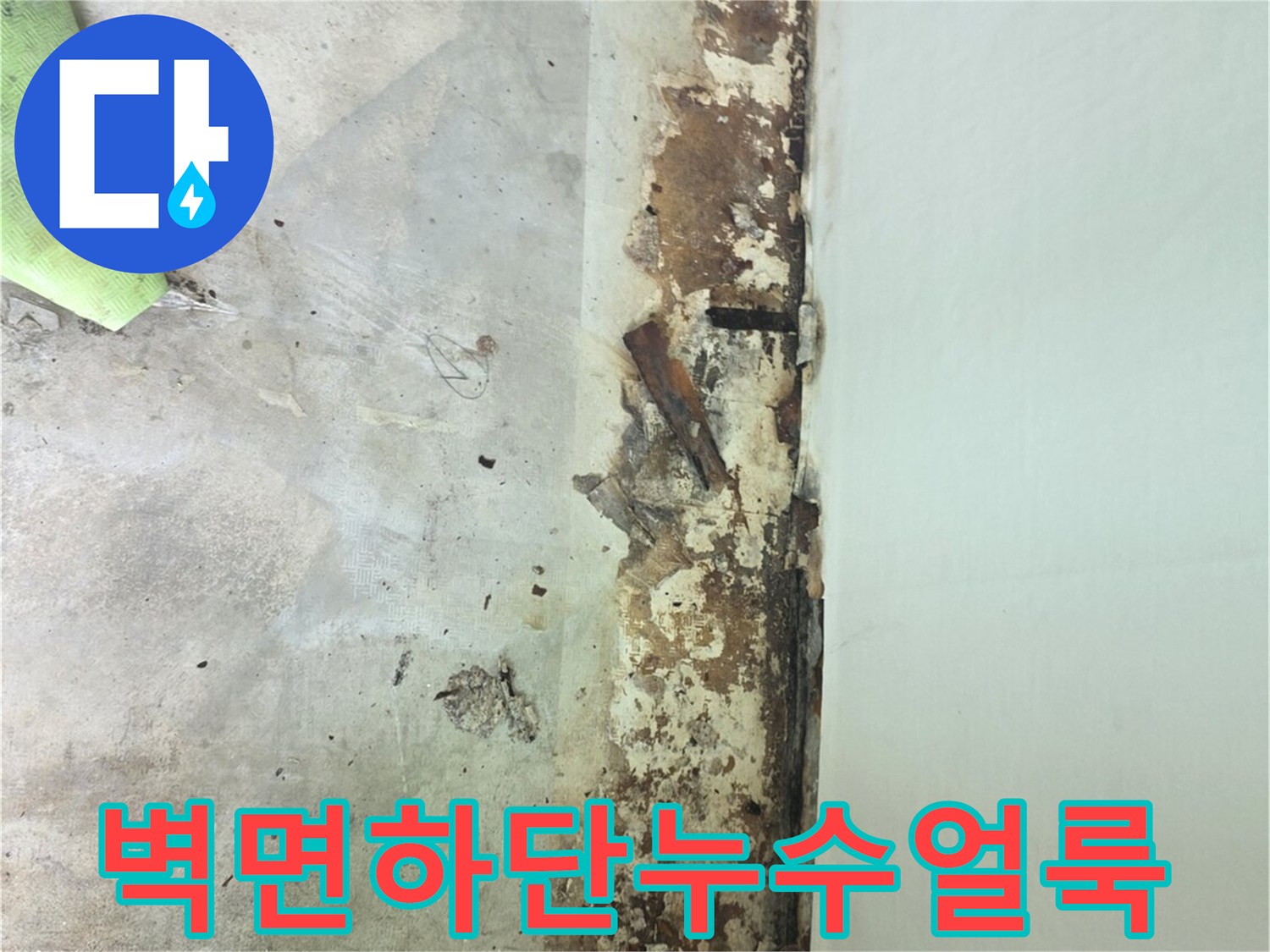 아파트-내부-벽면-하단에-갈색의-심한-누수-얼룩과-곰팡이가-퍼져있는-모습