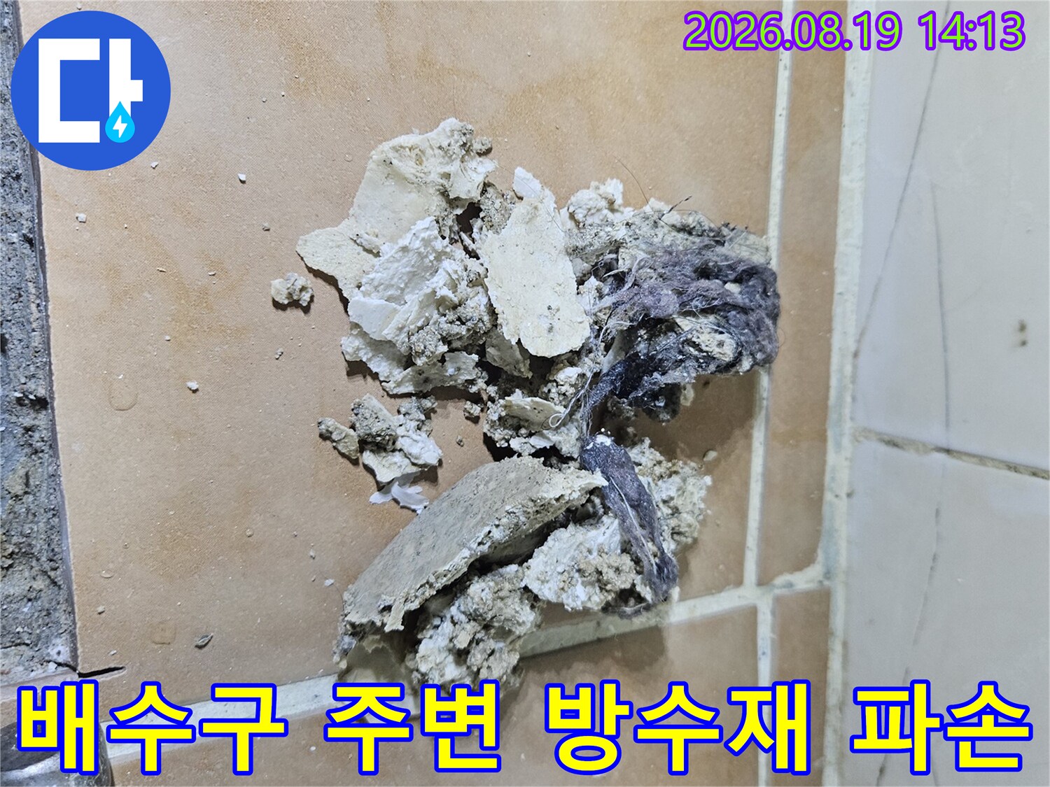 고양시 백석동 현장의-욕실 바닥 배수구 주변에 긁혀 나온 노후된 방수재와 이물질 모습