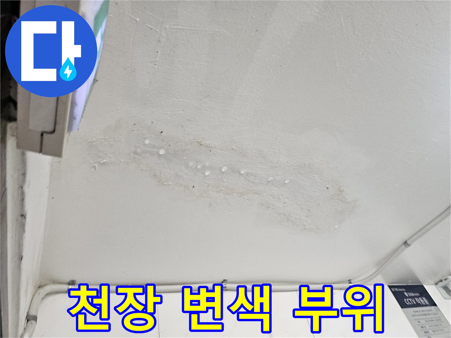 물샘으로 인해 변색된 천장의 얼룩진 영역