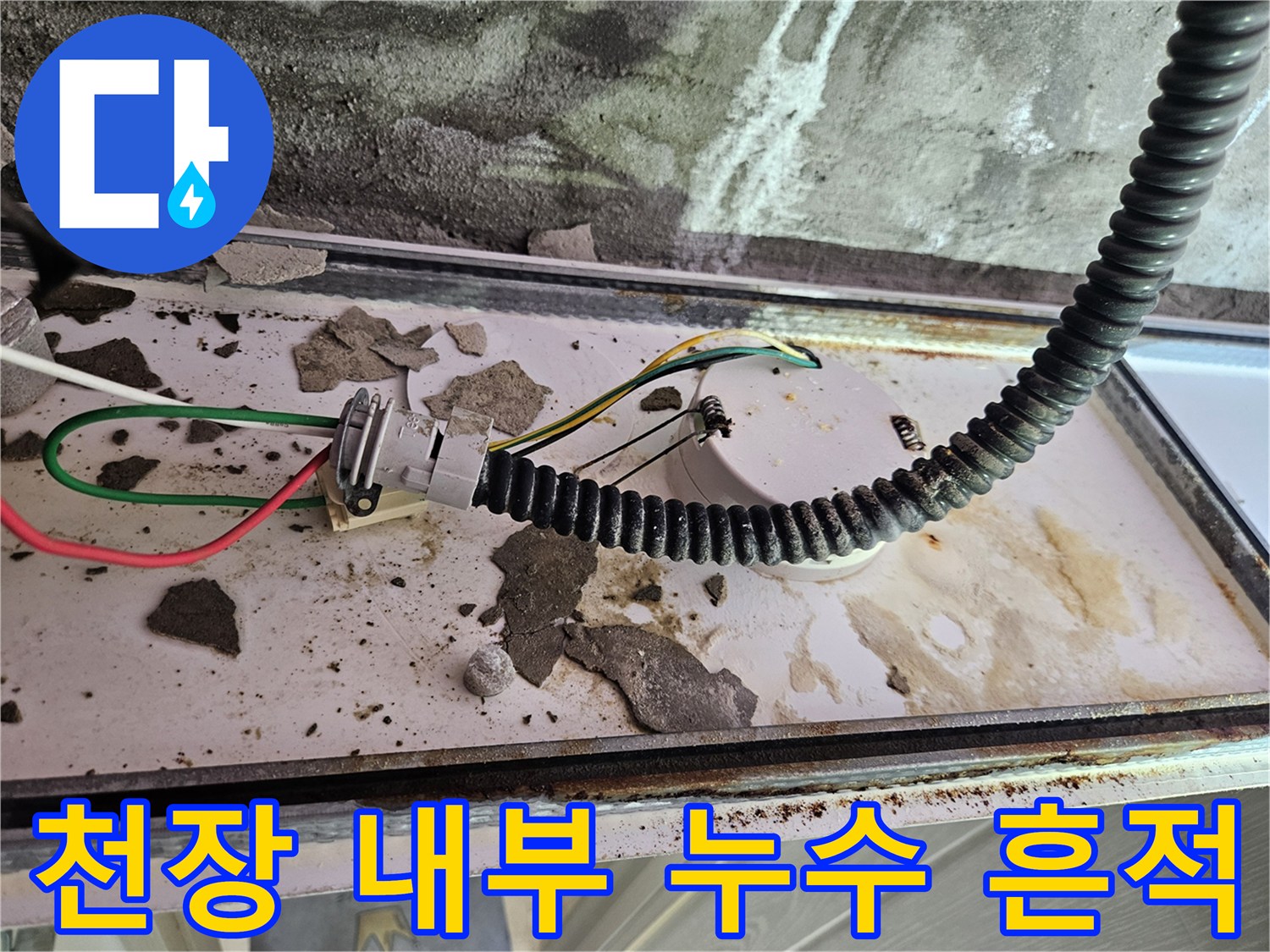 양주 옥정동-습기로 오염된 천장 슬래브와 배관 구조