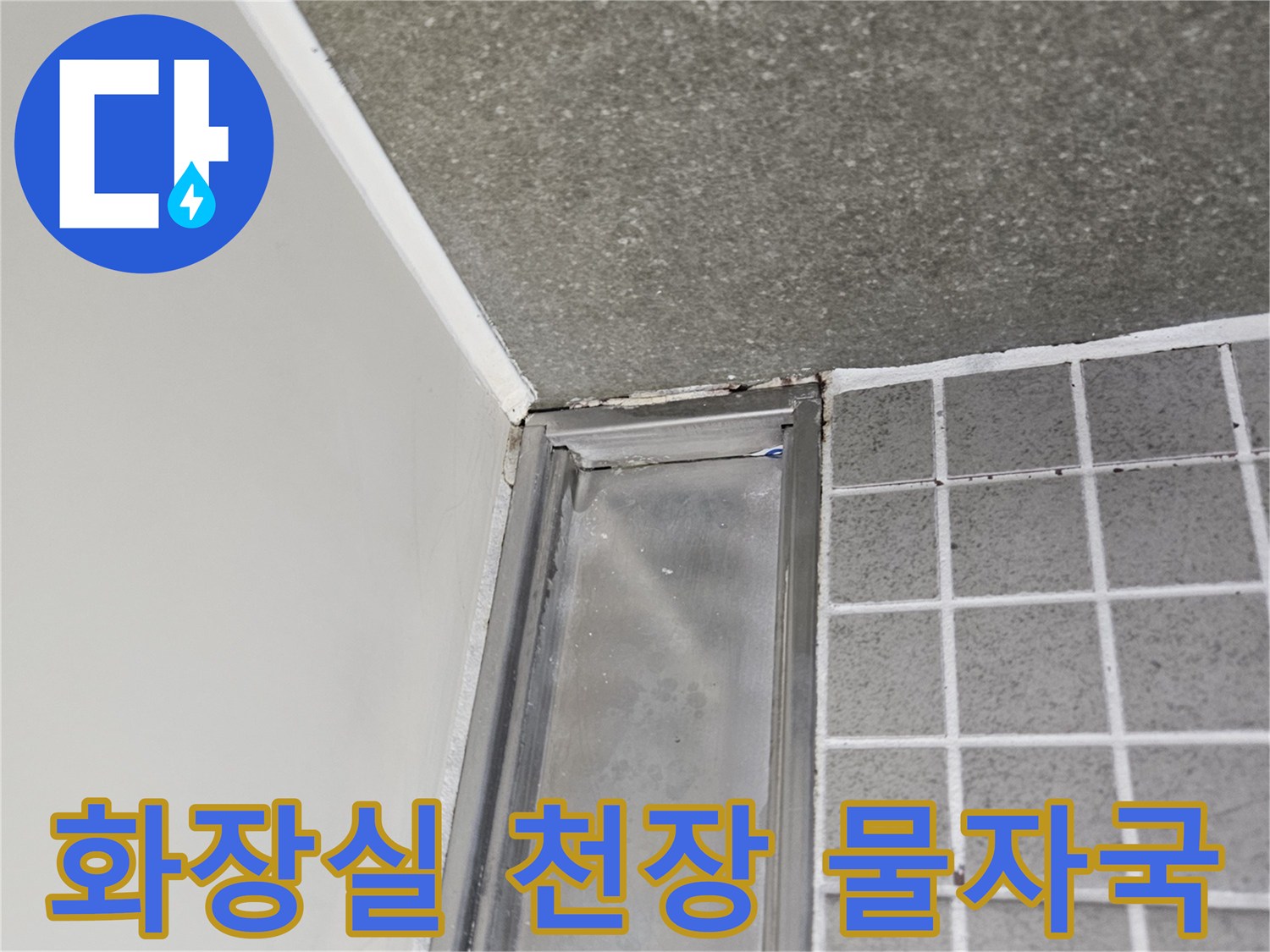 양주 옥정동-화장실 천장 내부의 습기 흔적과 타일 경계 부분