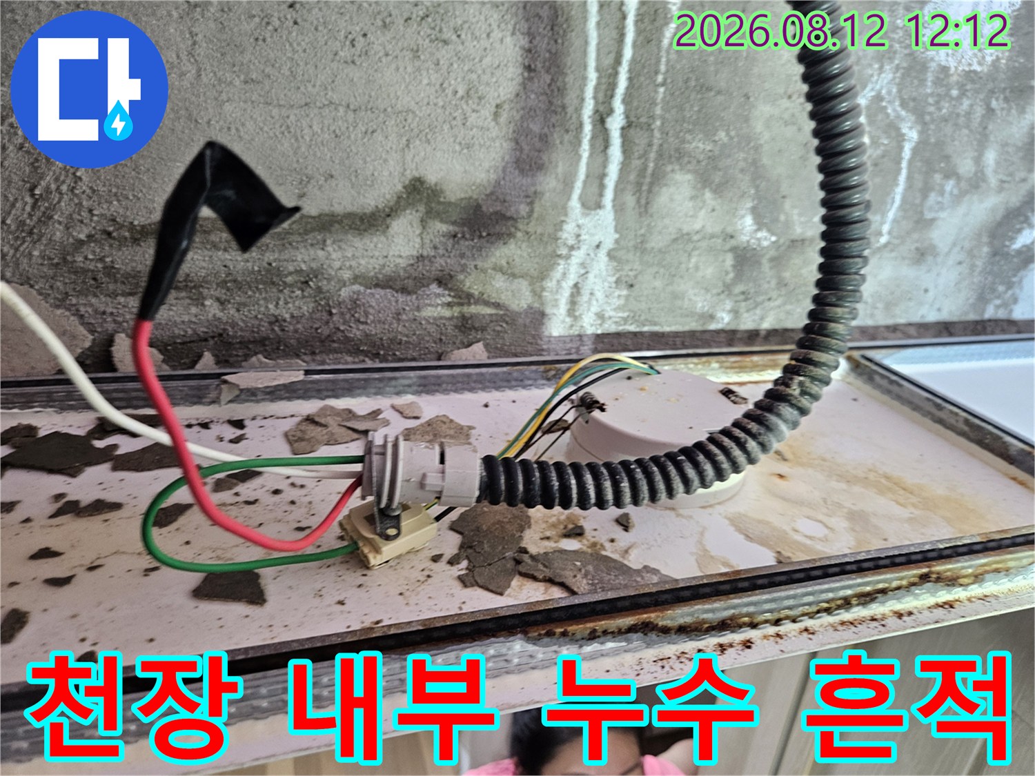 양주 옥정동 화장실 천장-전선관 주변의 물샘 자국