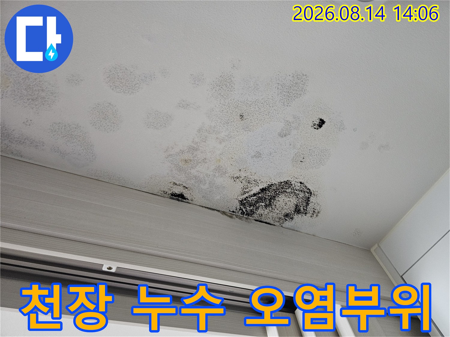 천장 마감재에 나타난 수분 침투 및 곰팡이 발생 부위