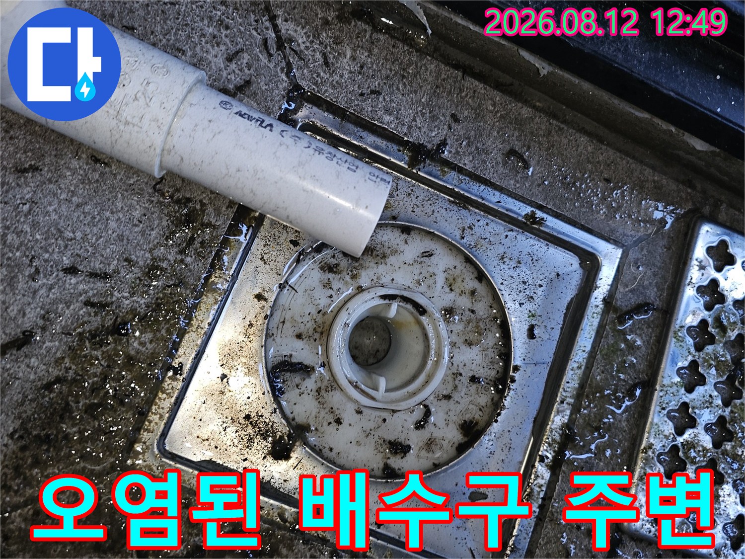 이물질과 물이 섞여 있는 배수구 입구 모습
