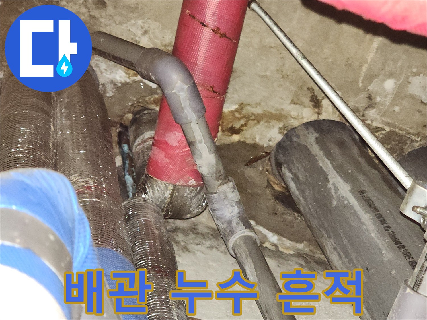 천장 배관 주변의 젖은 부분과 물샘 자국 상세 촬영