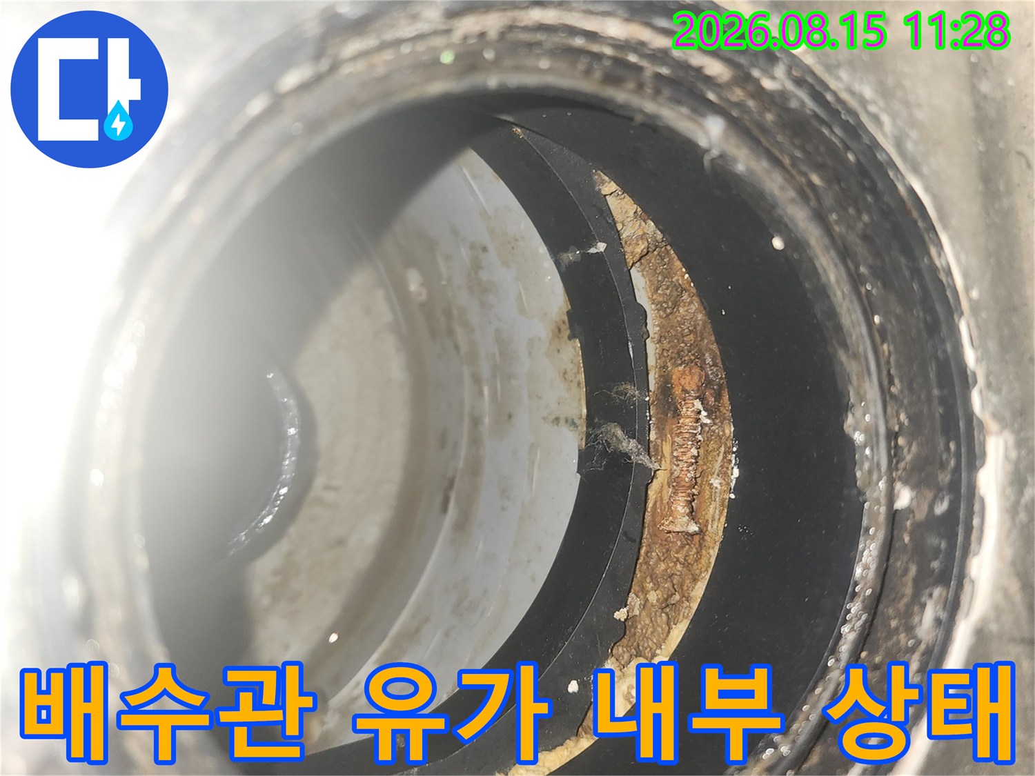 세탁실 배수관 연결 부위의 오염된 유가 안쪽 모습