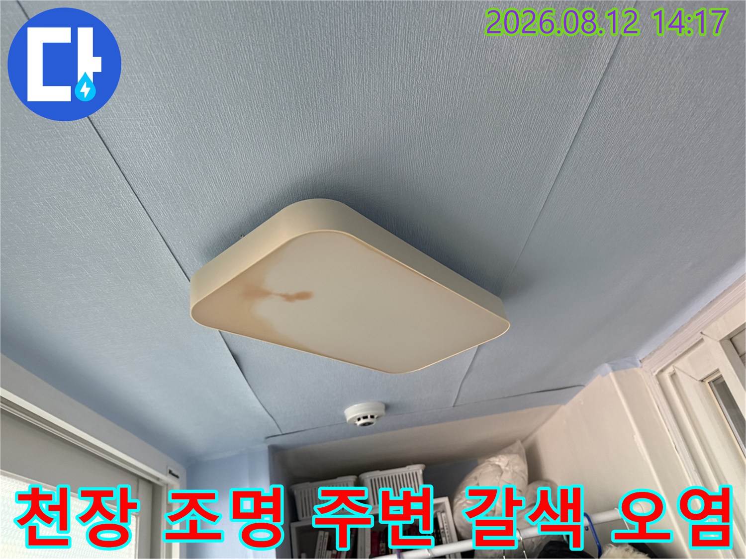 베란다 천장의 푸른색 마감재와 전등 덮개 사이에 발생한 누수 얼룩 사진