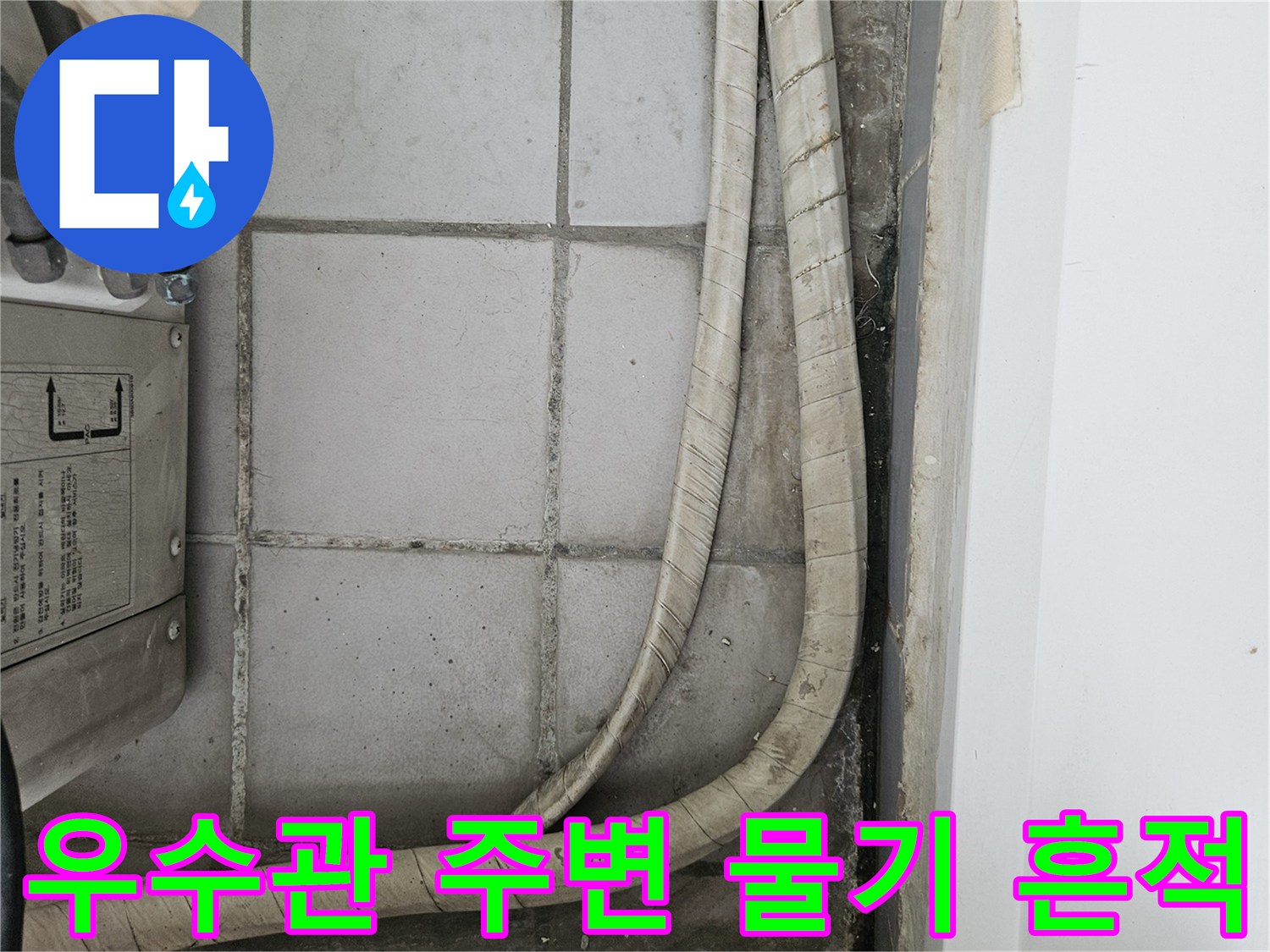 분당 현장의 우수관 배관과 습기가 스며든 타일 벽면 모습
