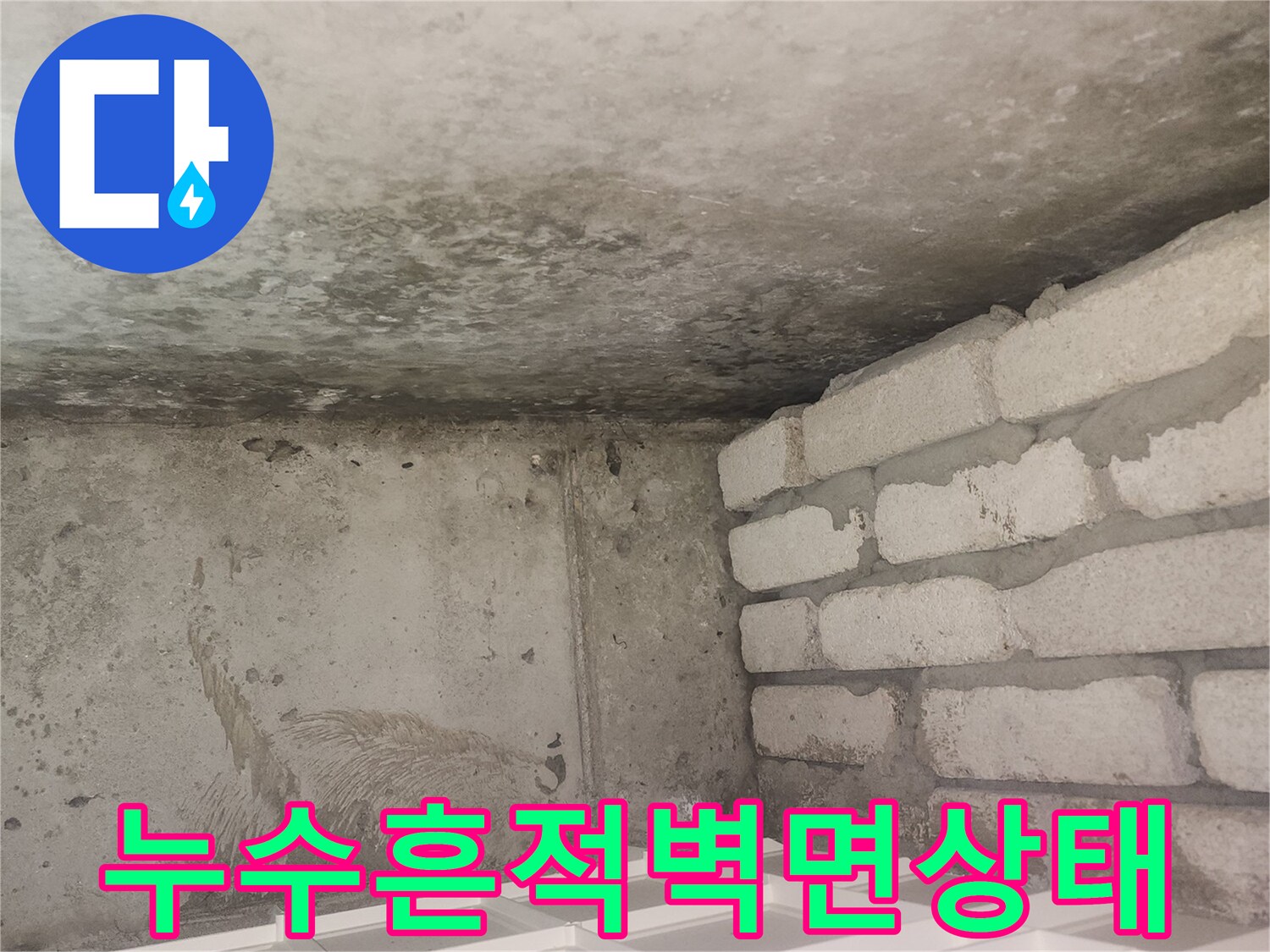 안양-동안구-아파트-욕실-벽체-습기-및-물자국