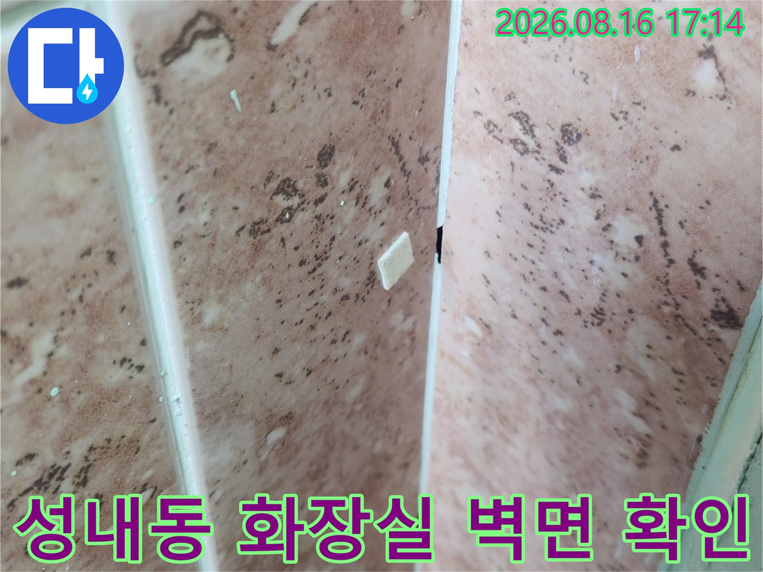 강동구 성내동 현장의 습기를 머금은 타일과 줄눈 부위 상세 사진