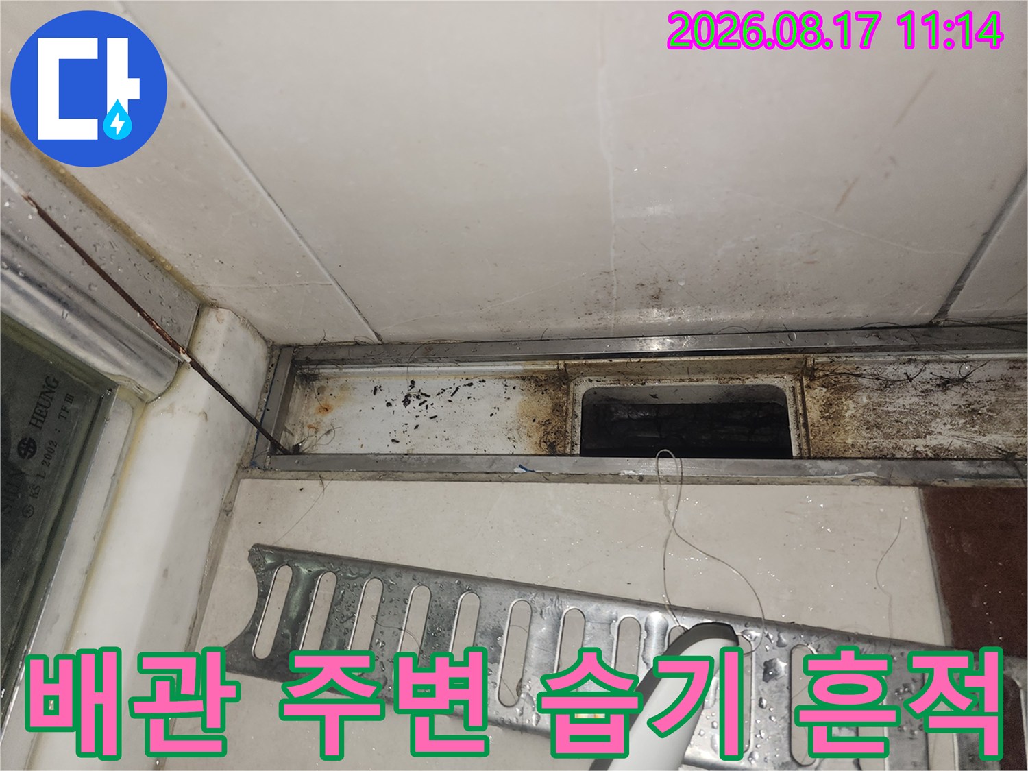 싱크대 하단 배관 주위의 젖은 마감재와 오염된 부위