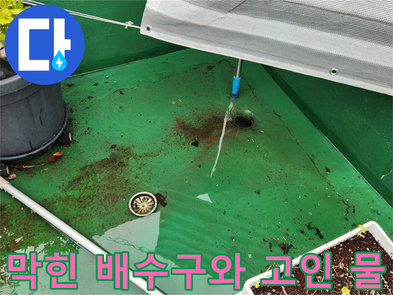 물이 고여 있는 초록색 옥상 바닥과 배수 구멍