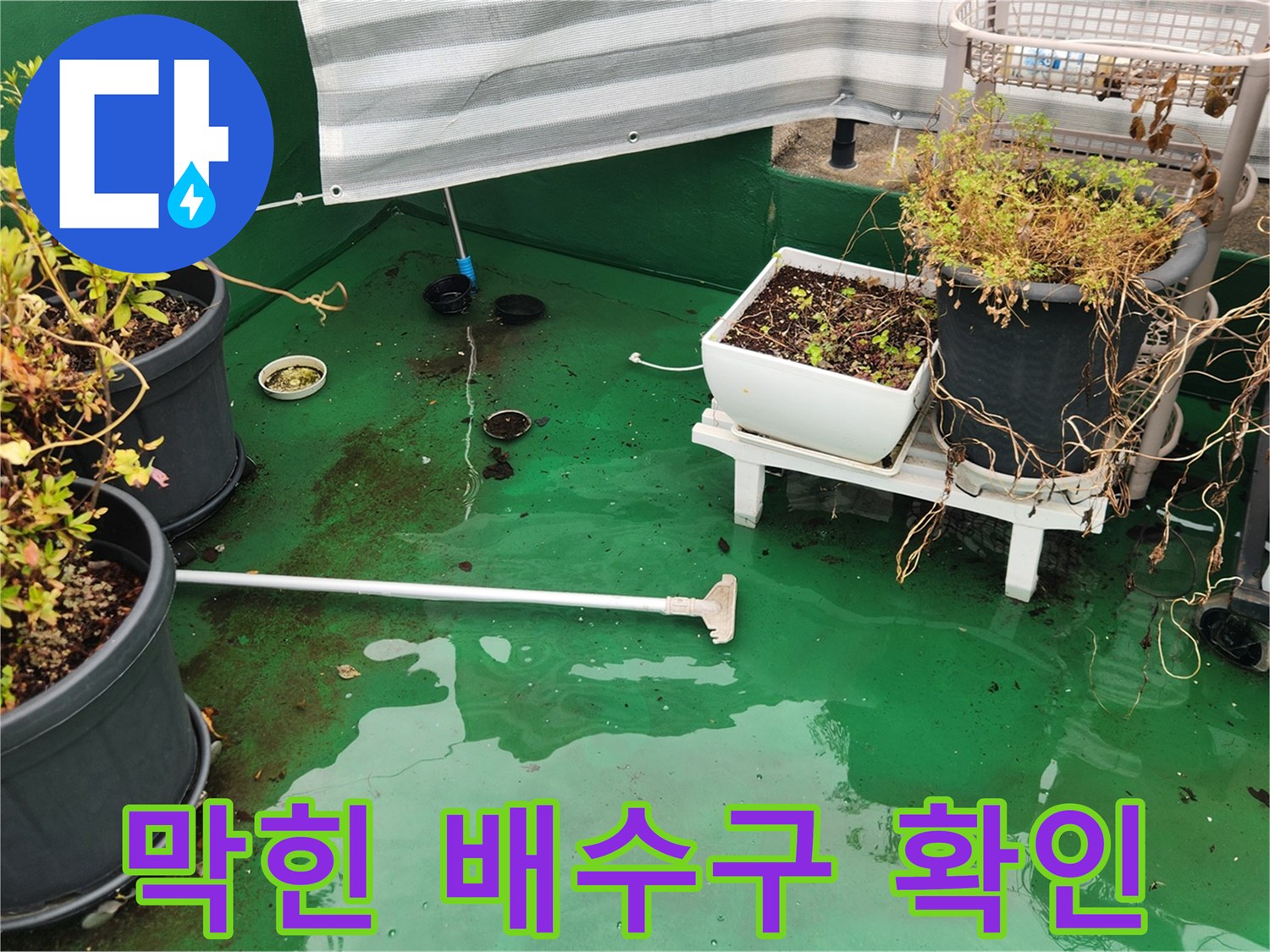 초록색 우레탄 방수 바닥의 물고임 현장 사진