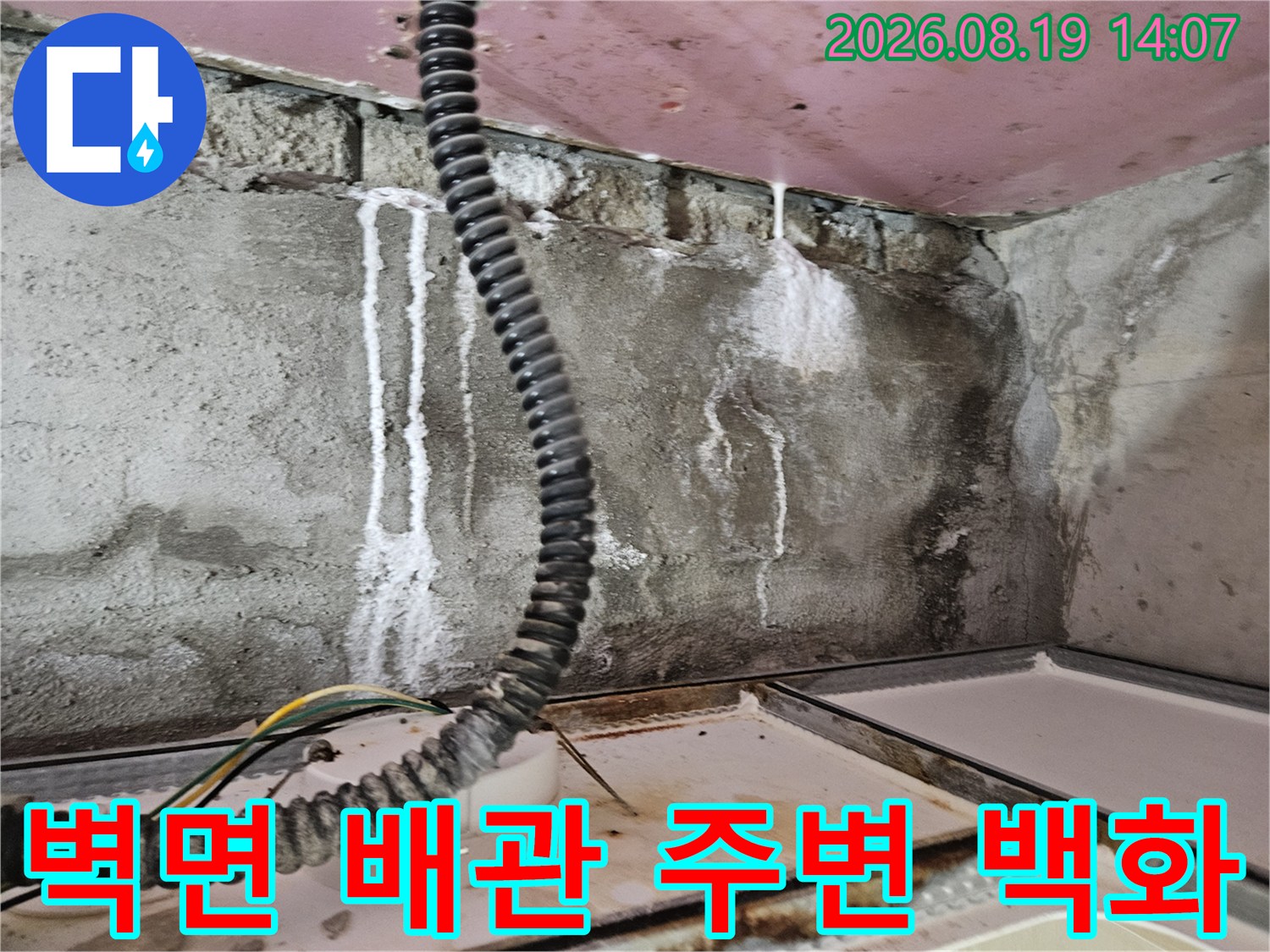 배관 연결 부위 근처-콘크리트 벽면에 발생한 하얀색 백화 현상과 습기 흔적