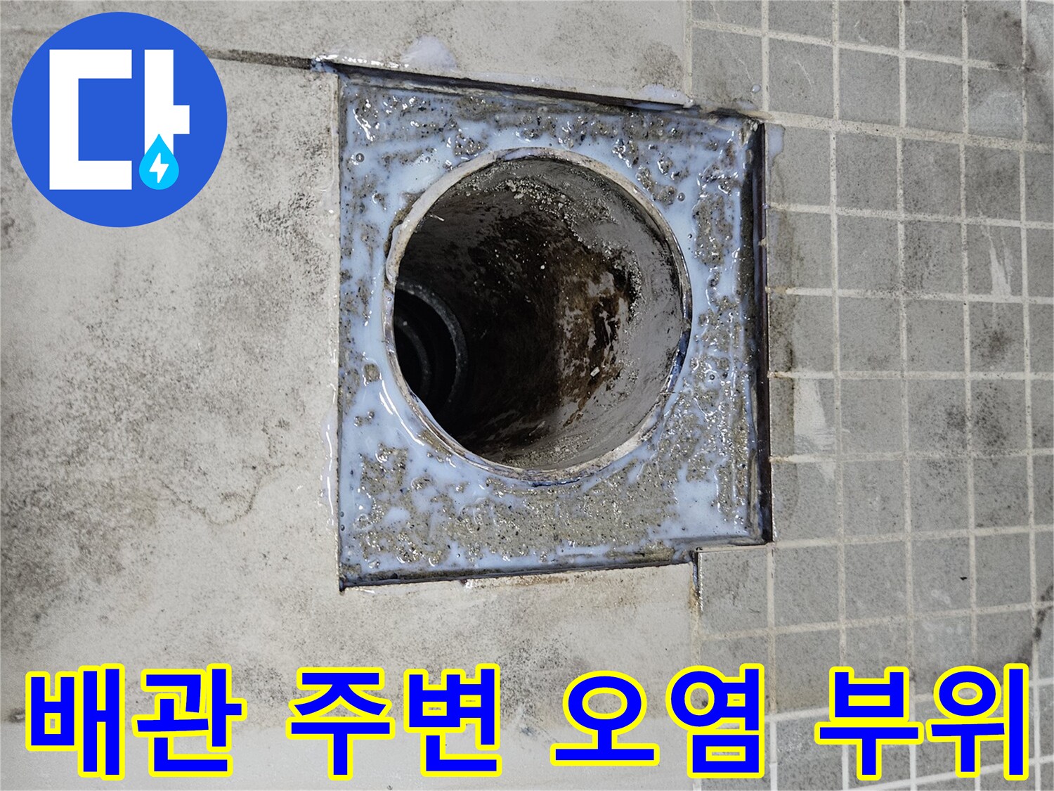 양주 옥정동-오염된 채 노출된 화장실 배수 배관 입구