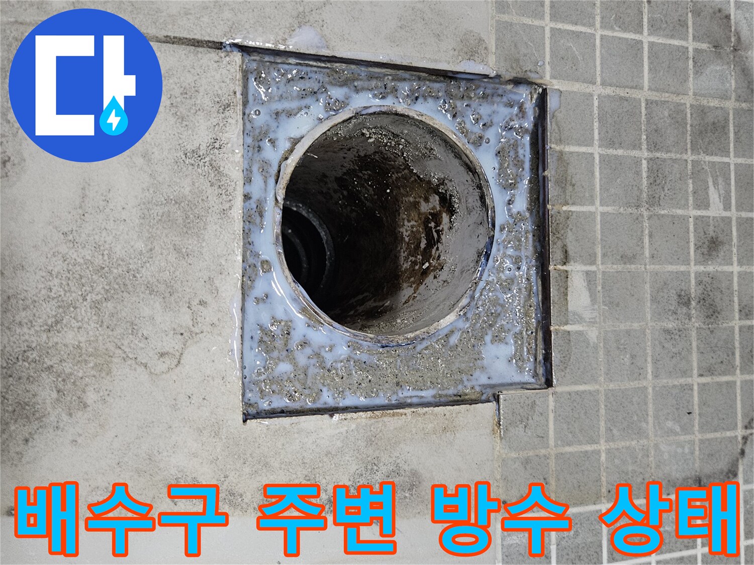 양주 옥정동 현장의 배수구 주변 방수층 손상 및 오염된 모습