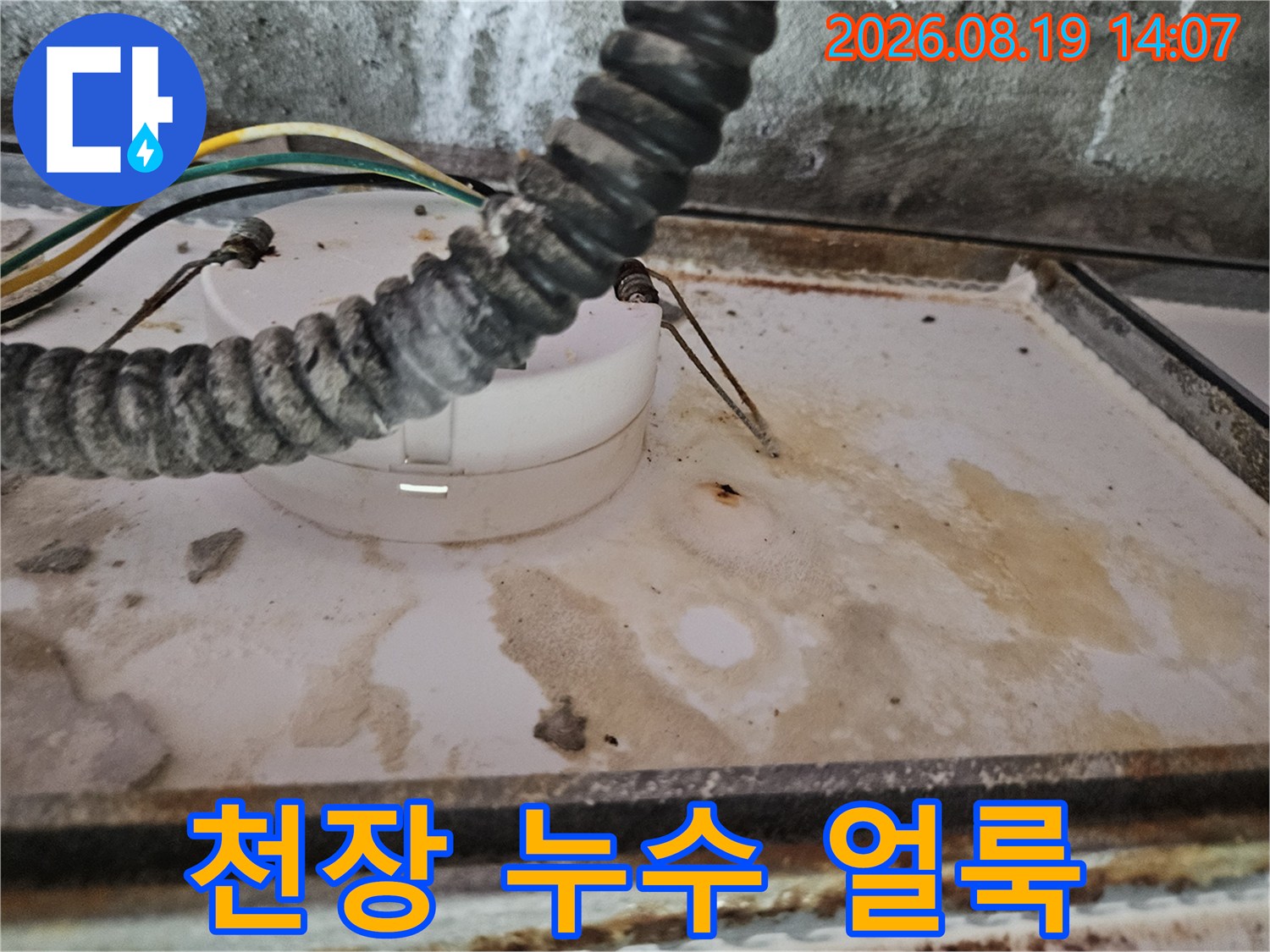 양주 옥정동 현장의 천장 누수 얼룩과 전선 노출 상태