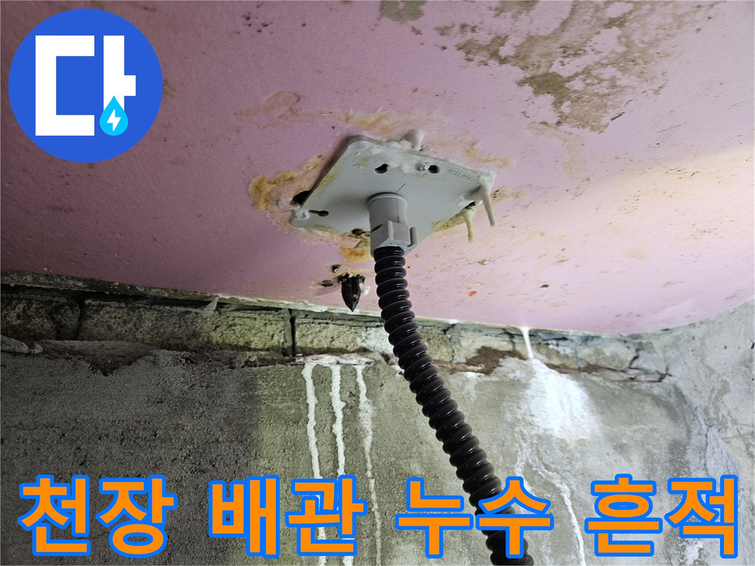 양주 옥정동-화장실 천장 배관 주변의 물때와 얼룩 상태