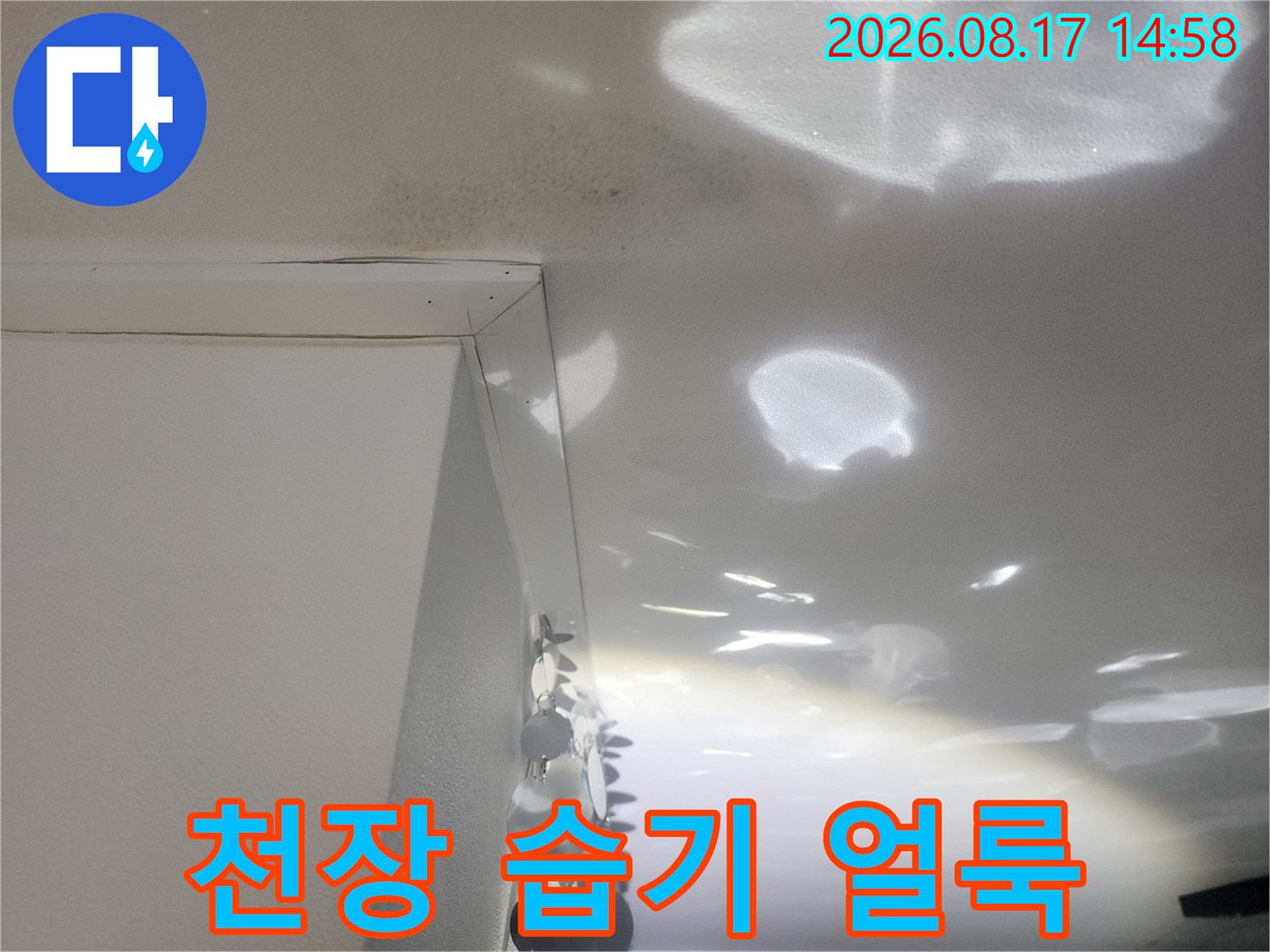 아파트 내부 천장에 나타난 넓은 형태의 습기 얼룩과 변색 부위