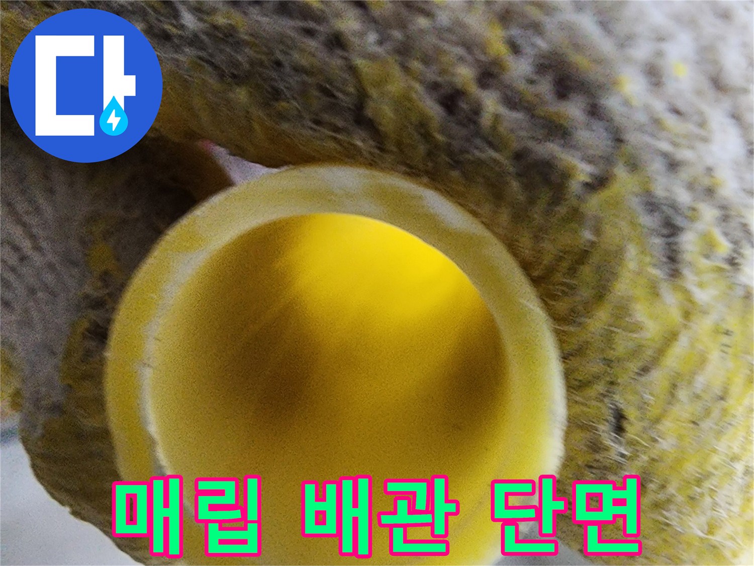 공사 중 발견한-노란색 배방 내부 관찰