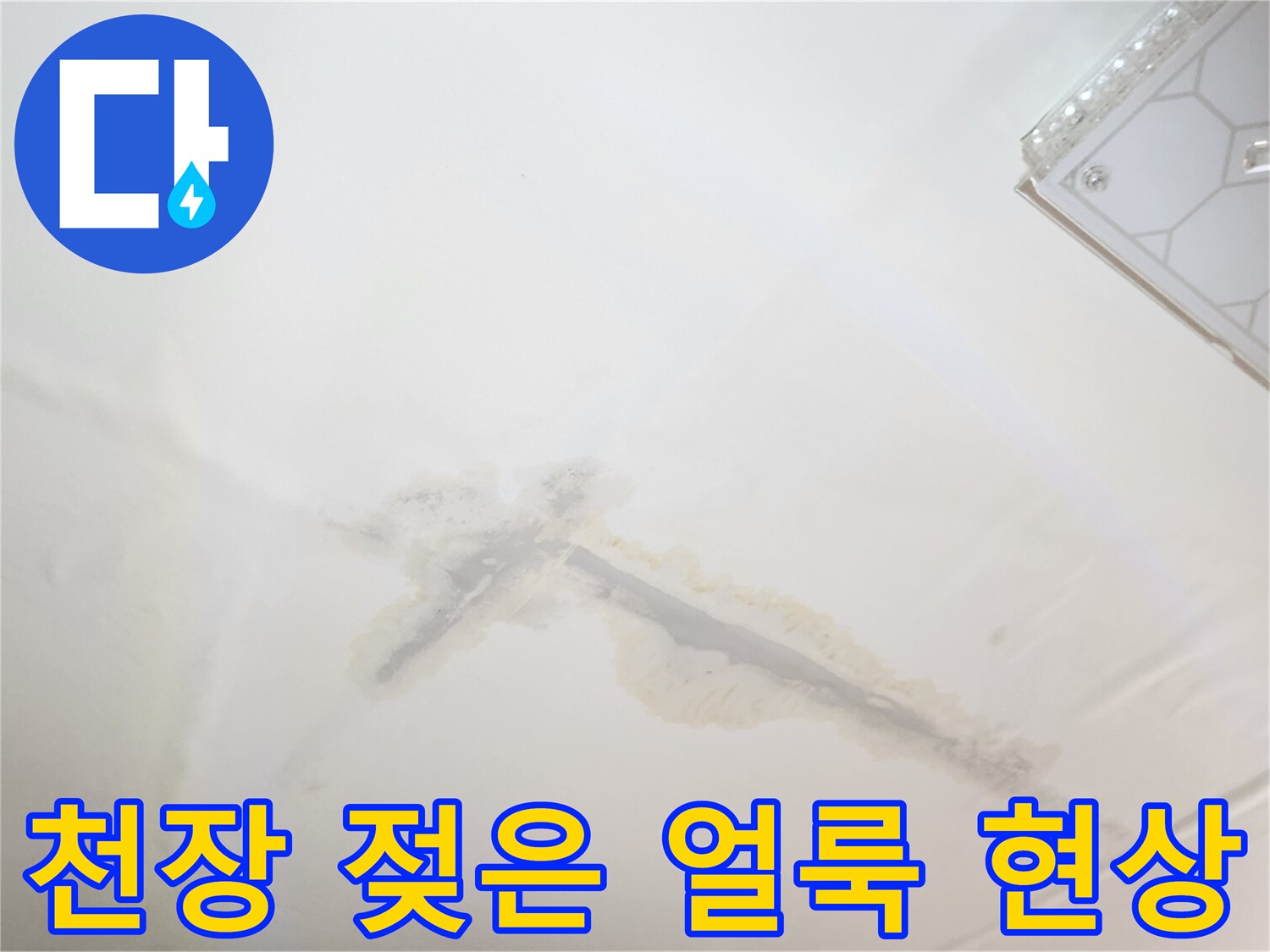 천장 도배지에 넓게 퍼진 누수 흔적과 물자국