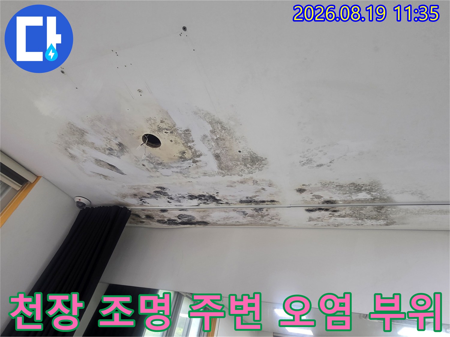 천장 타공 부위를 중심으로 번진 곰팡이와 수분 흔적