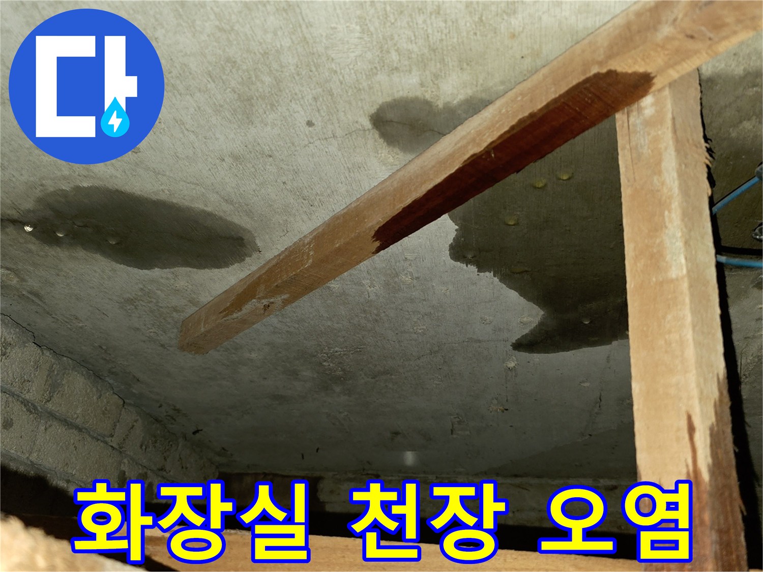 누수 흔적과 함께 나타난 천장 부위의 곰팡이
