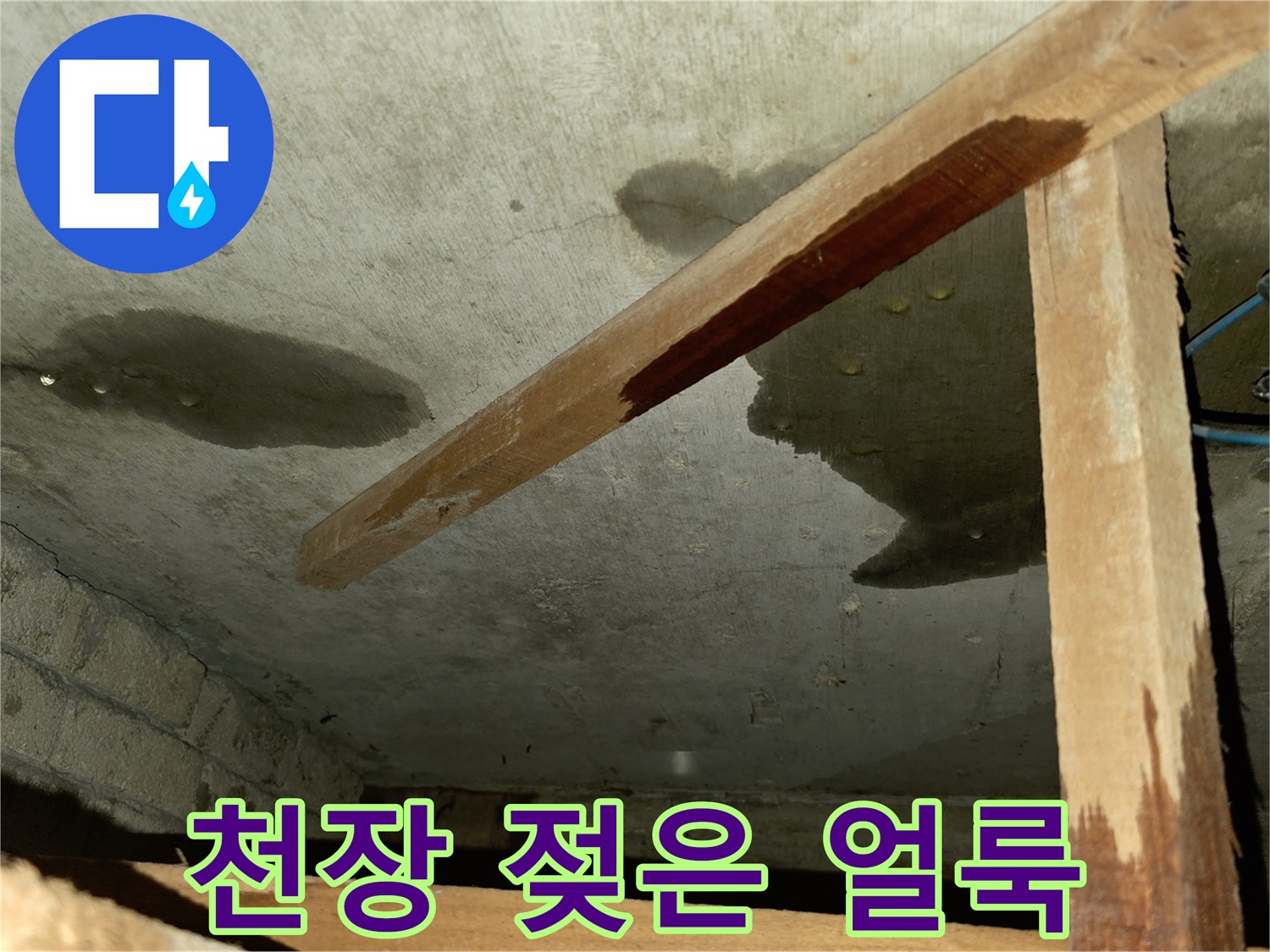 콘크리트 천장-습기로 인해 발생한 검은색 얼룩과 젖음