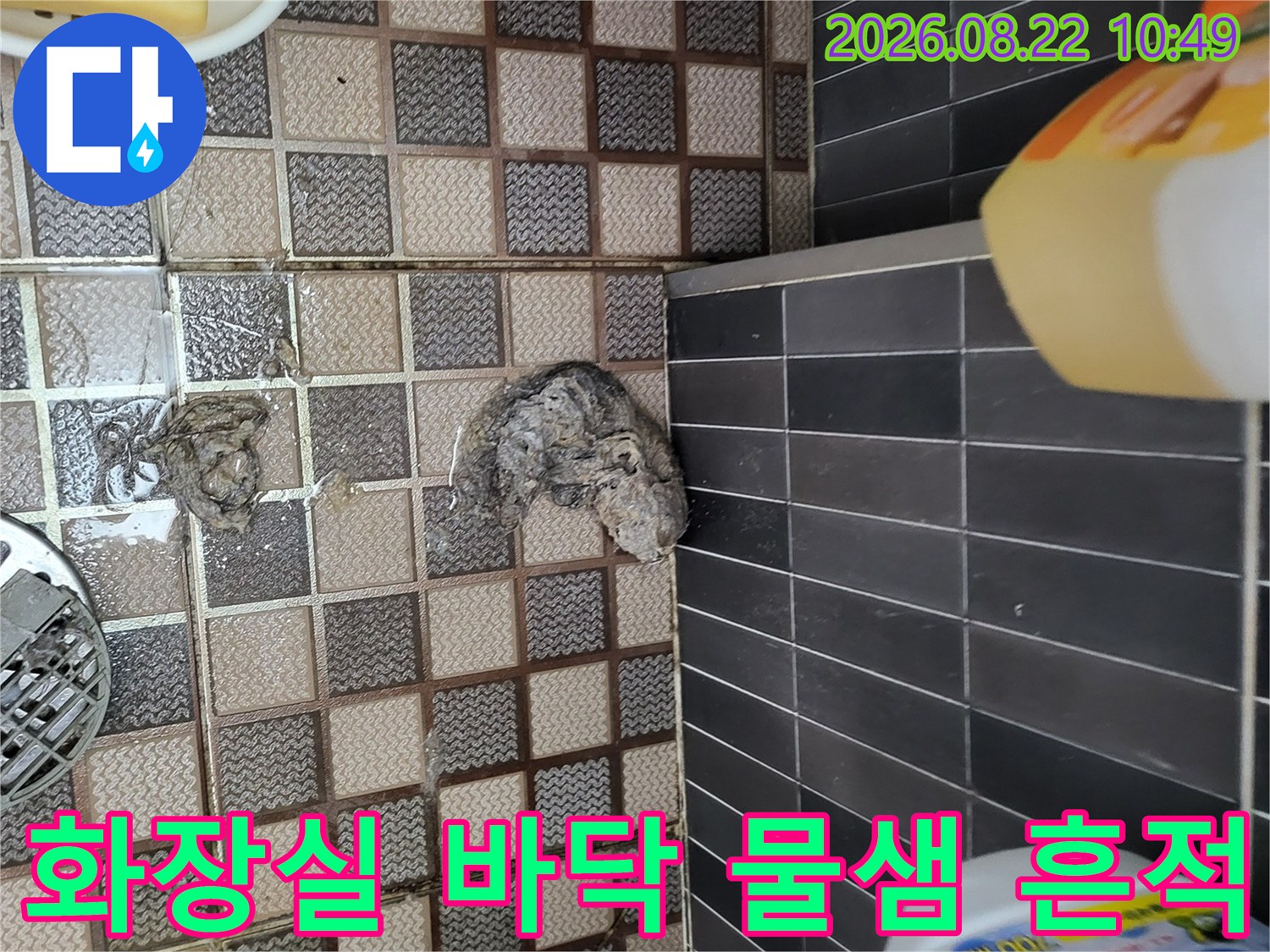 안양동-화장실-바닥-타일-사이의-젖은-흔적-확인