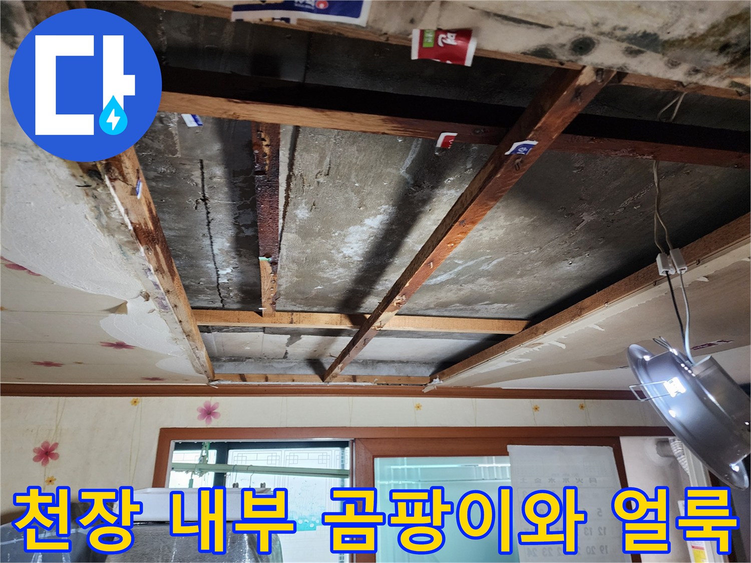 부평구 십정동 현장의-천장 내부 배관 주변 곰팡이 및 습기 흔적