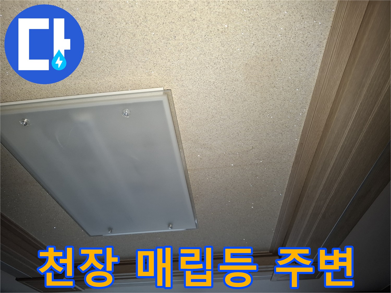 거실 천장 조명 - 누수 점검을 위한 매립등 부위 촬영