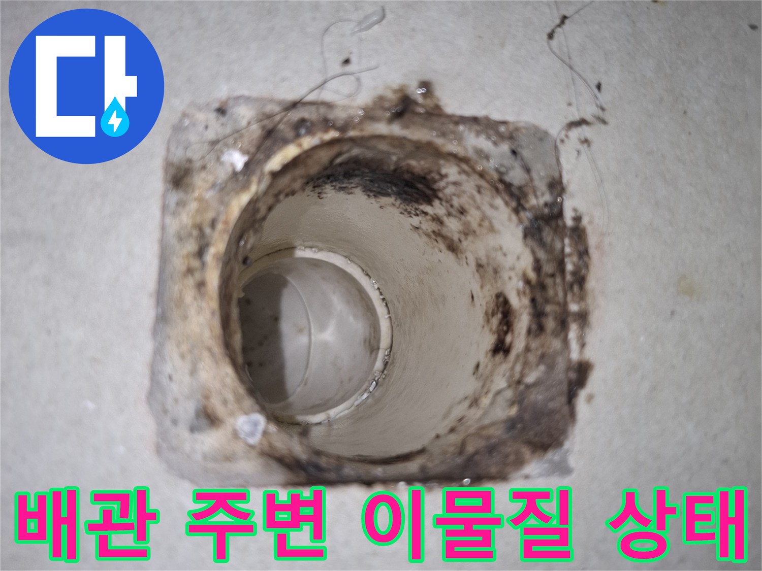 세탁실 하수구 배관 입구의 오염된 이물질을 근접 촬영한 사진입니다.