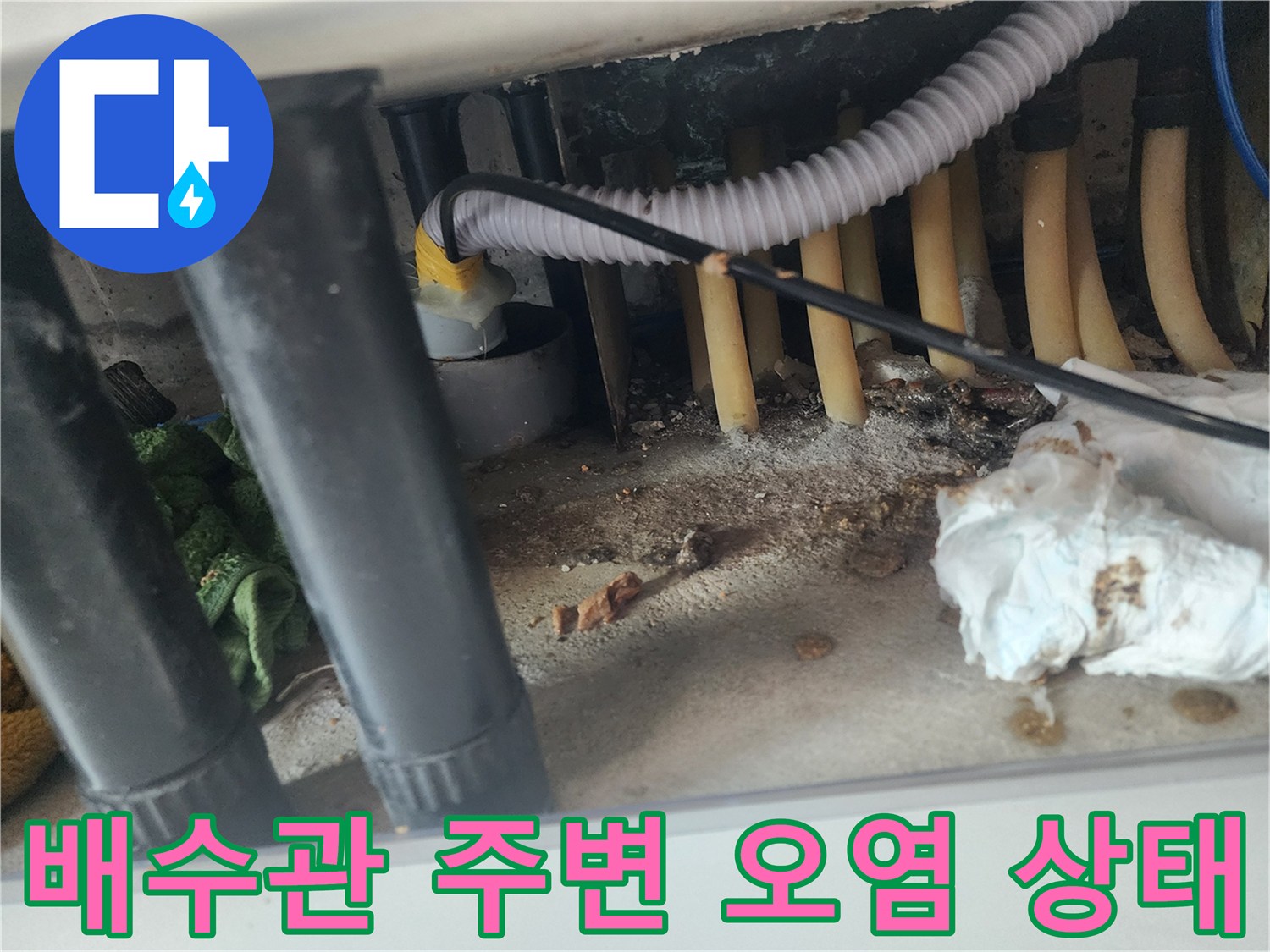 기흥구 아파트-하수관 주변에 쌓인 찌꺼기와 습한 바닥 환경
