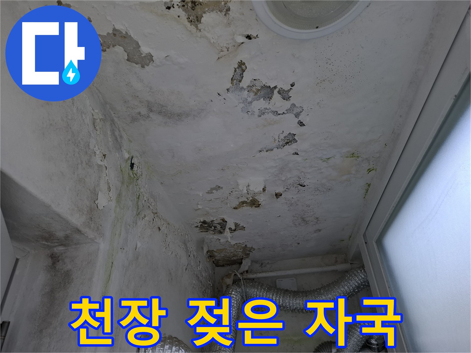누수로 인해 변색된 천장 마감재와 곰팡이 흔적