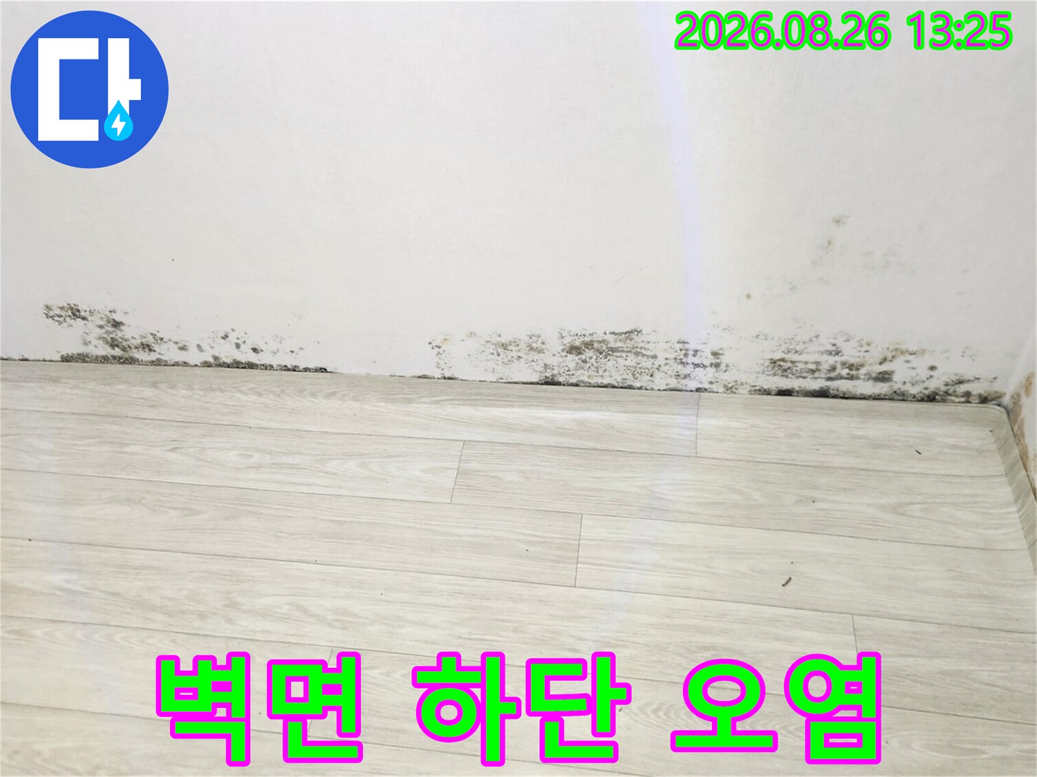 흰색 벽지와 바닥 경계 부분에 나타난 곰팡이 오염지점