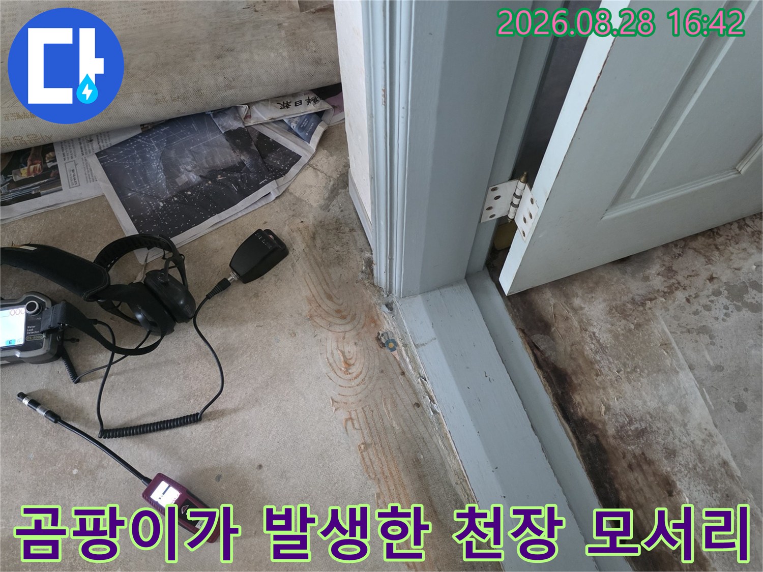 상하동 아파트 현장-천장 구석 곰팡이 및 벽면 습기