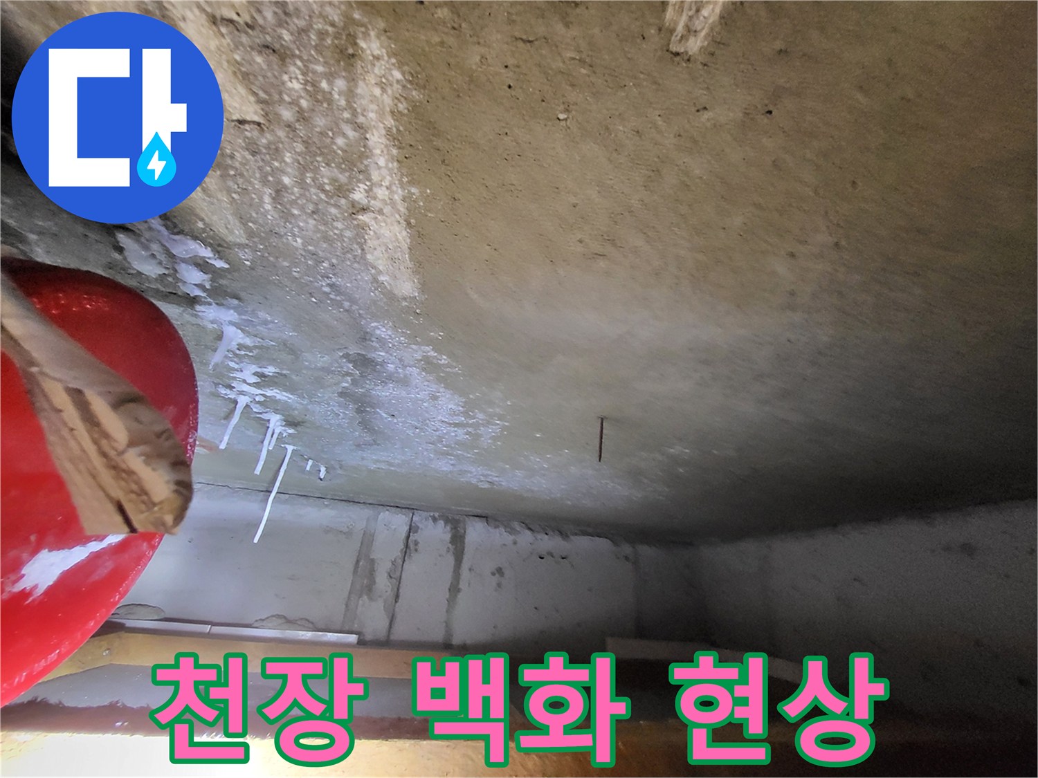중산동-현장-천장-콘크리트-백화-현상-기록